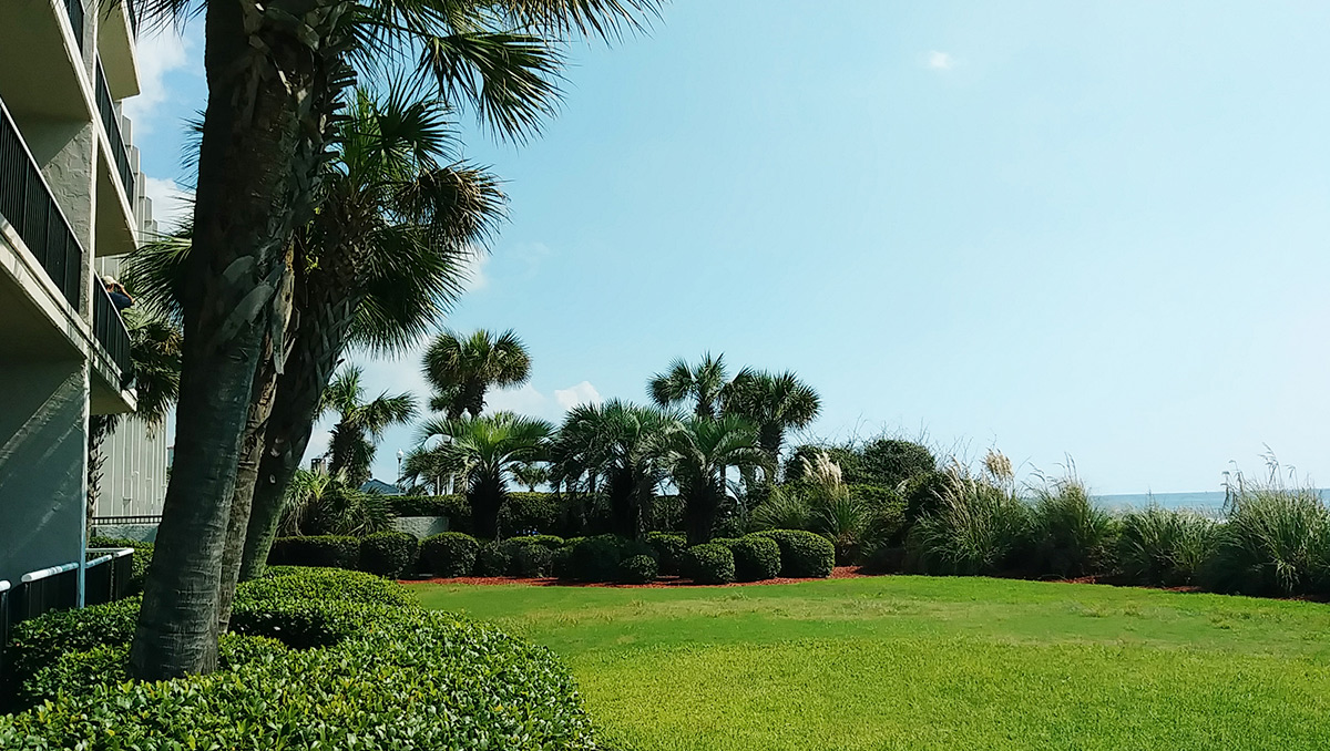 Carolina Winds — photo 37 of 60